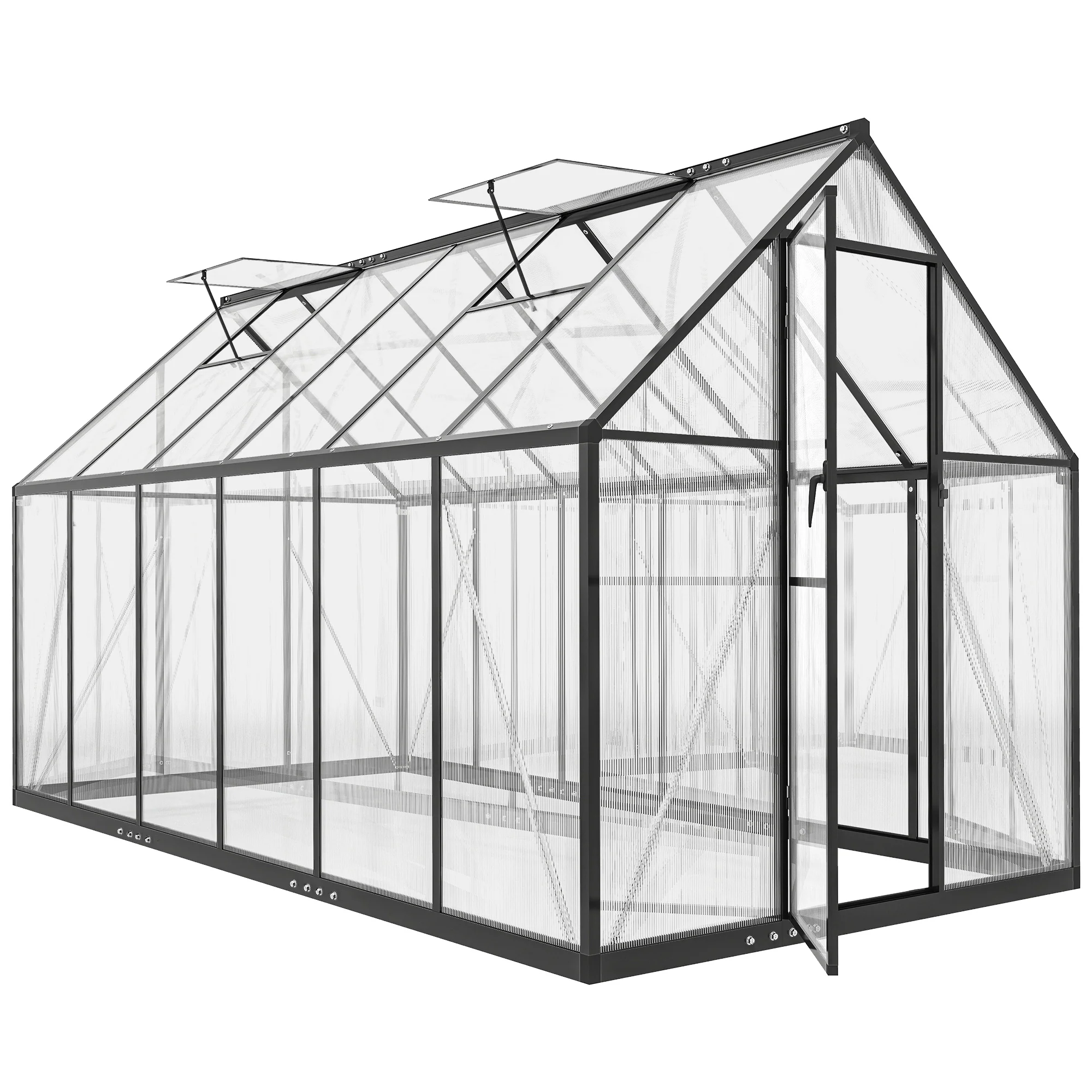 11' x 6' Polycarbonate Walk-in Greenhouse, Black