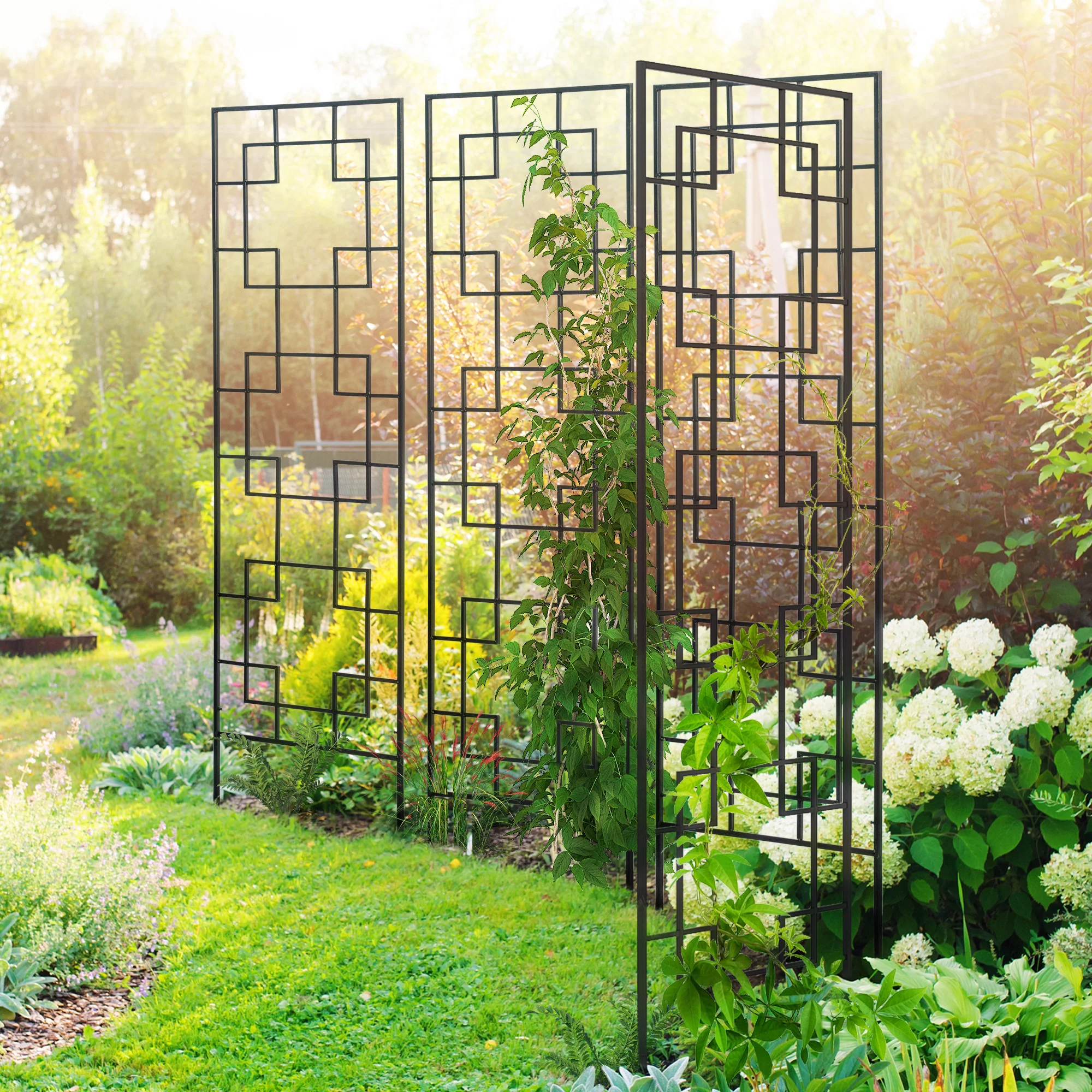 4-Pack 72" Metal Garden Trellis for Climbing Plants - Image 4