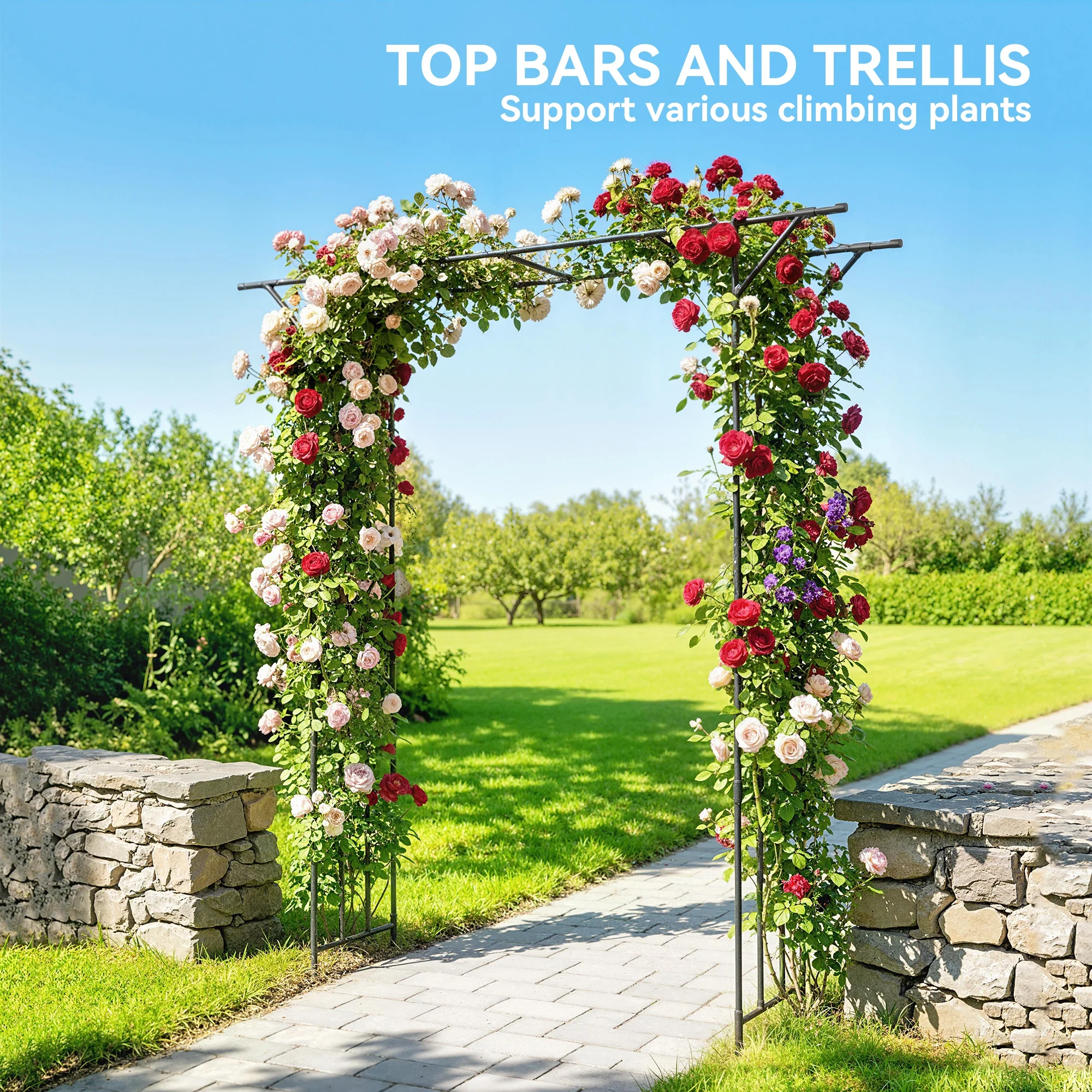 7.1ft Garden Arch for Climbing Plants and Wedding Decor, Black - Image 6
