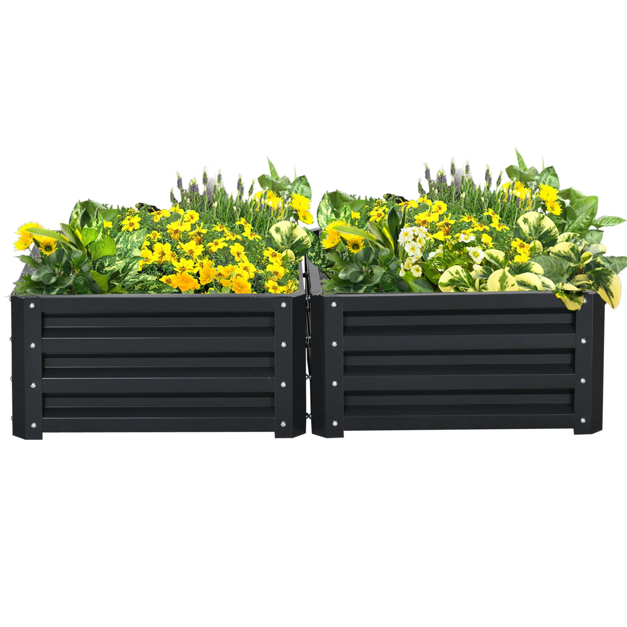 2 Piece Galvanized Raised Garden Bed, 2' x 2' x 1' Metal Planter Box for Growing Vegetables, Flowers, Herbs, Succulents, Dark Gray - Image 2