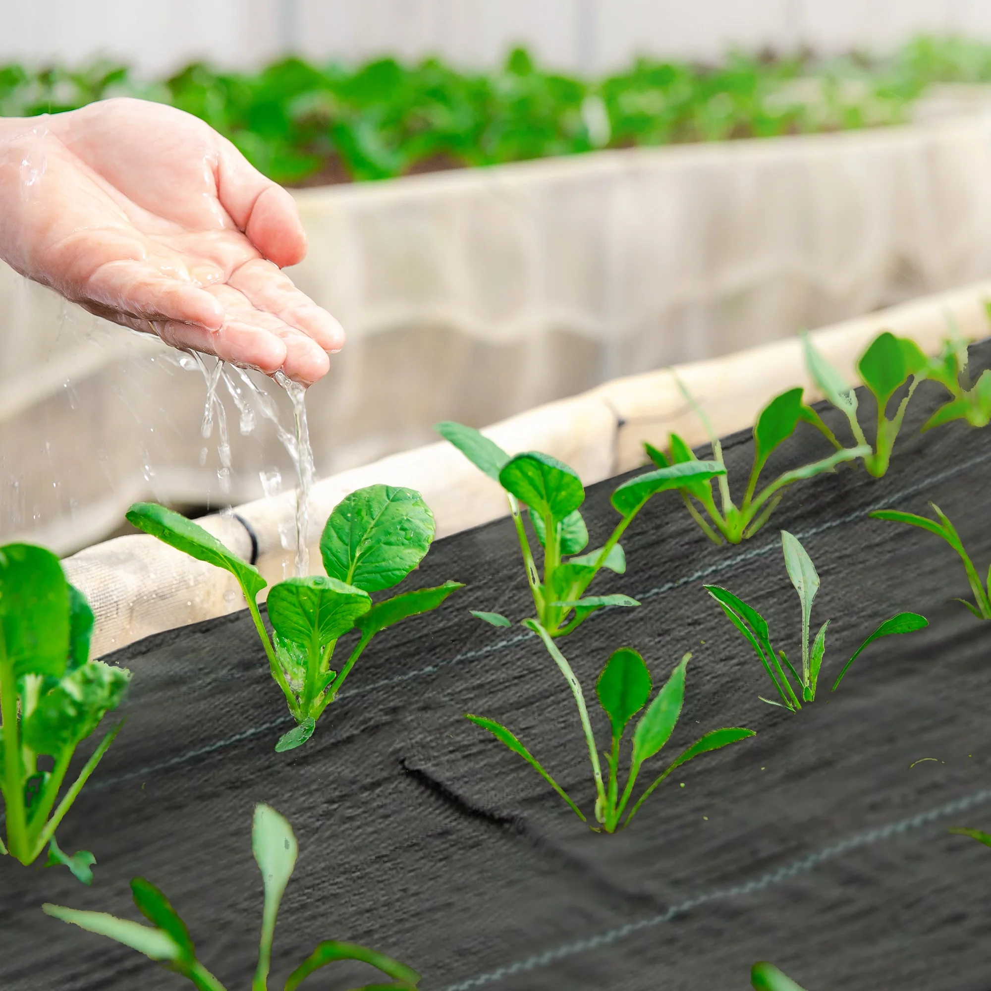 4 x 300 ft Weed Barrier Landscape Fabric Heavy Duty, 5oz Woven Weed Control Fabric - Image 4