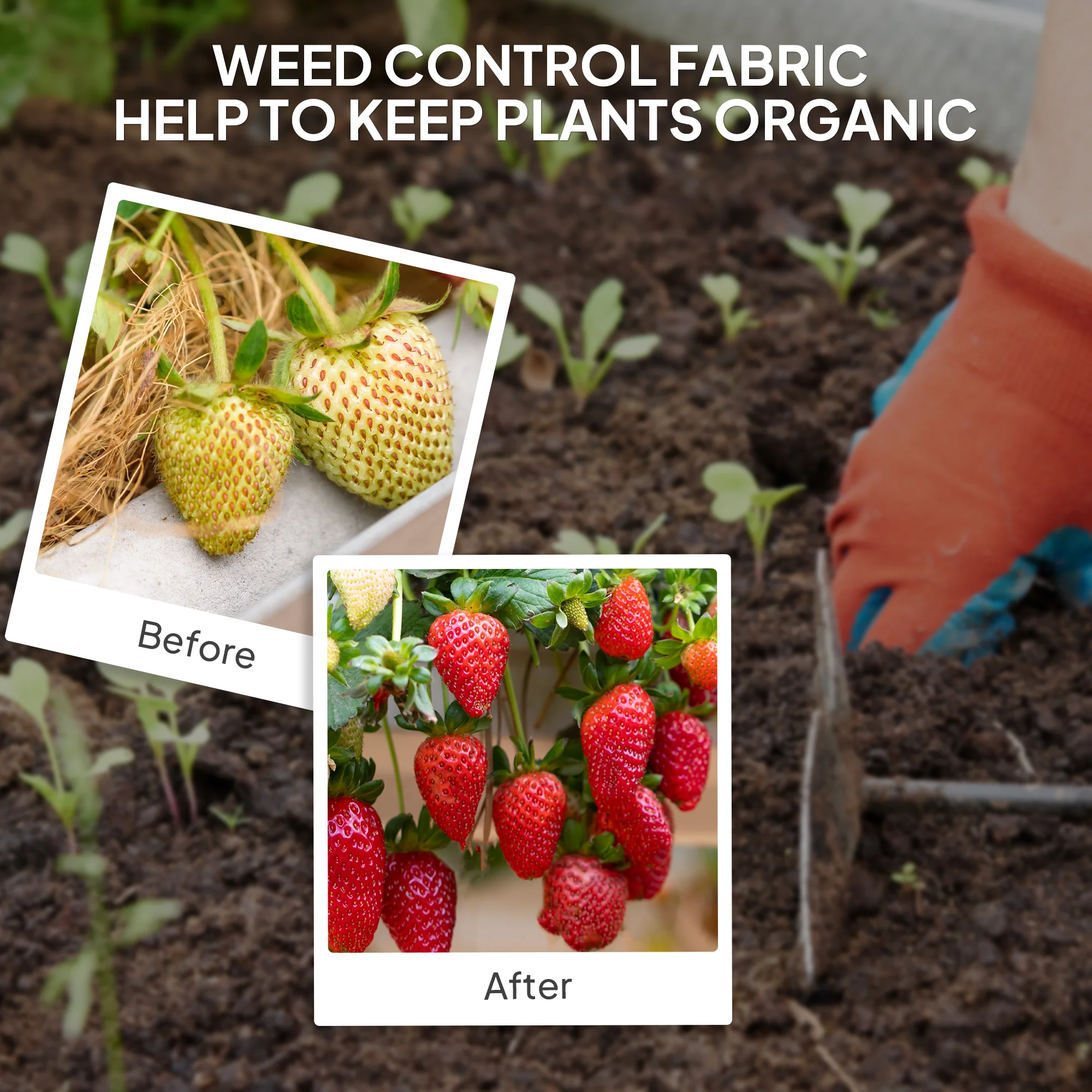 6 x 300 ft Weed Barrier Landscape Fabric Heavy Duty, 5oz Woven Weed Control Fabric - Image 8