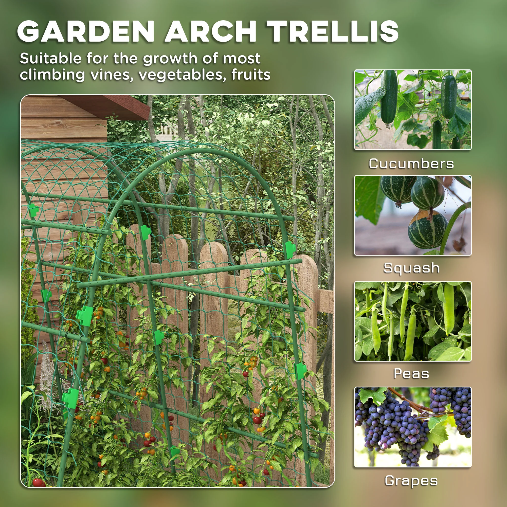 6.8' Tall Garden Arch Trellis, A-Frame, with Climbing Net, for Climbing Plants or Fruits - Image 6