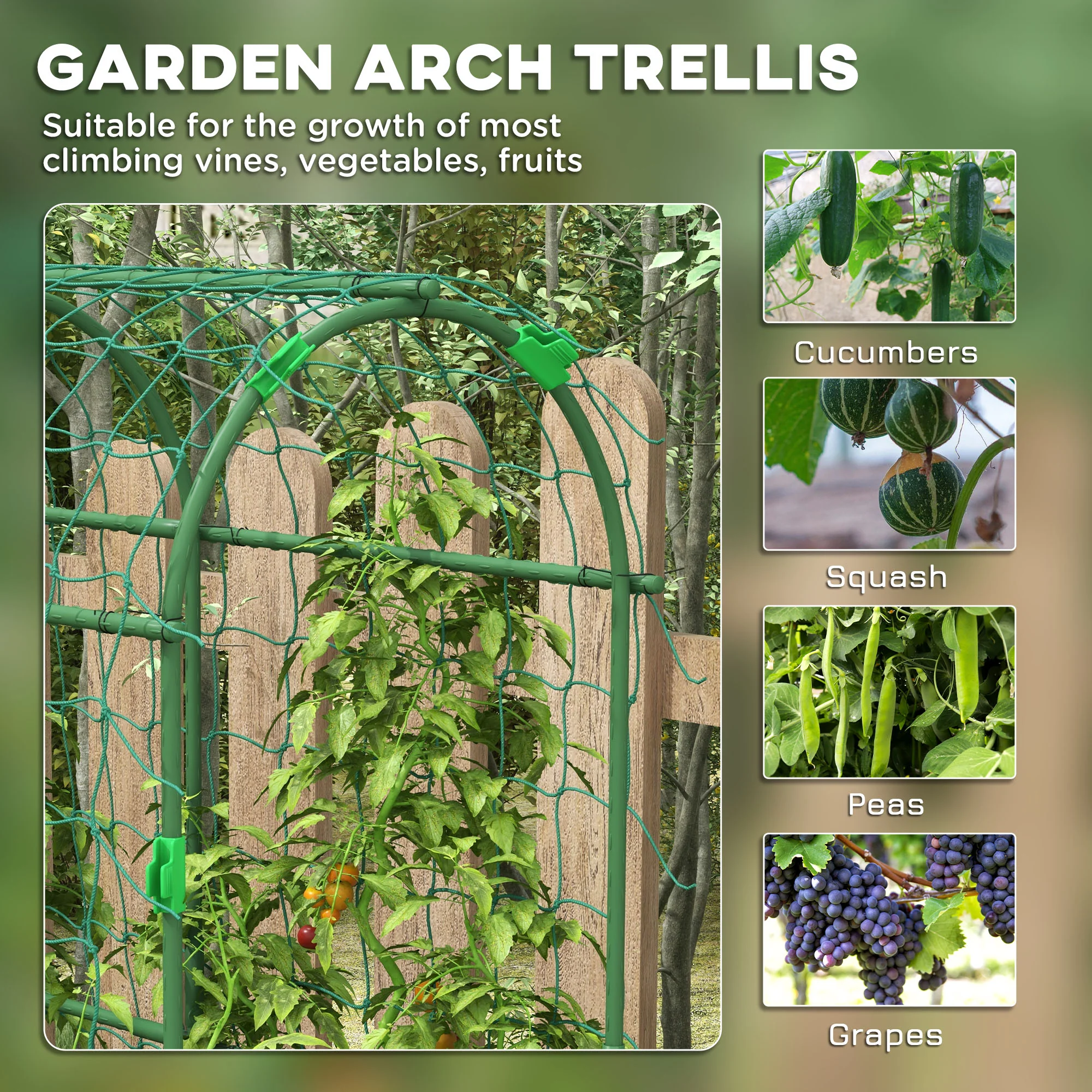 6' Tall Garden Arch Trellis, A-Frame, with Climbing Net, for Climbing Plants or Fruits - Image 6