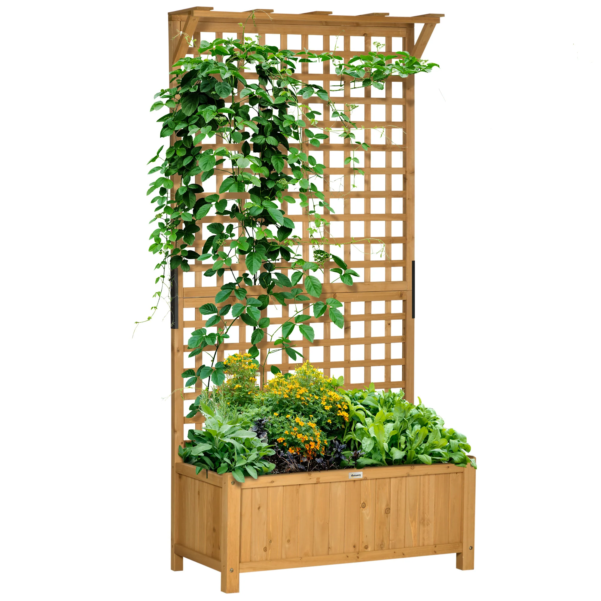 Most Popular Garden