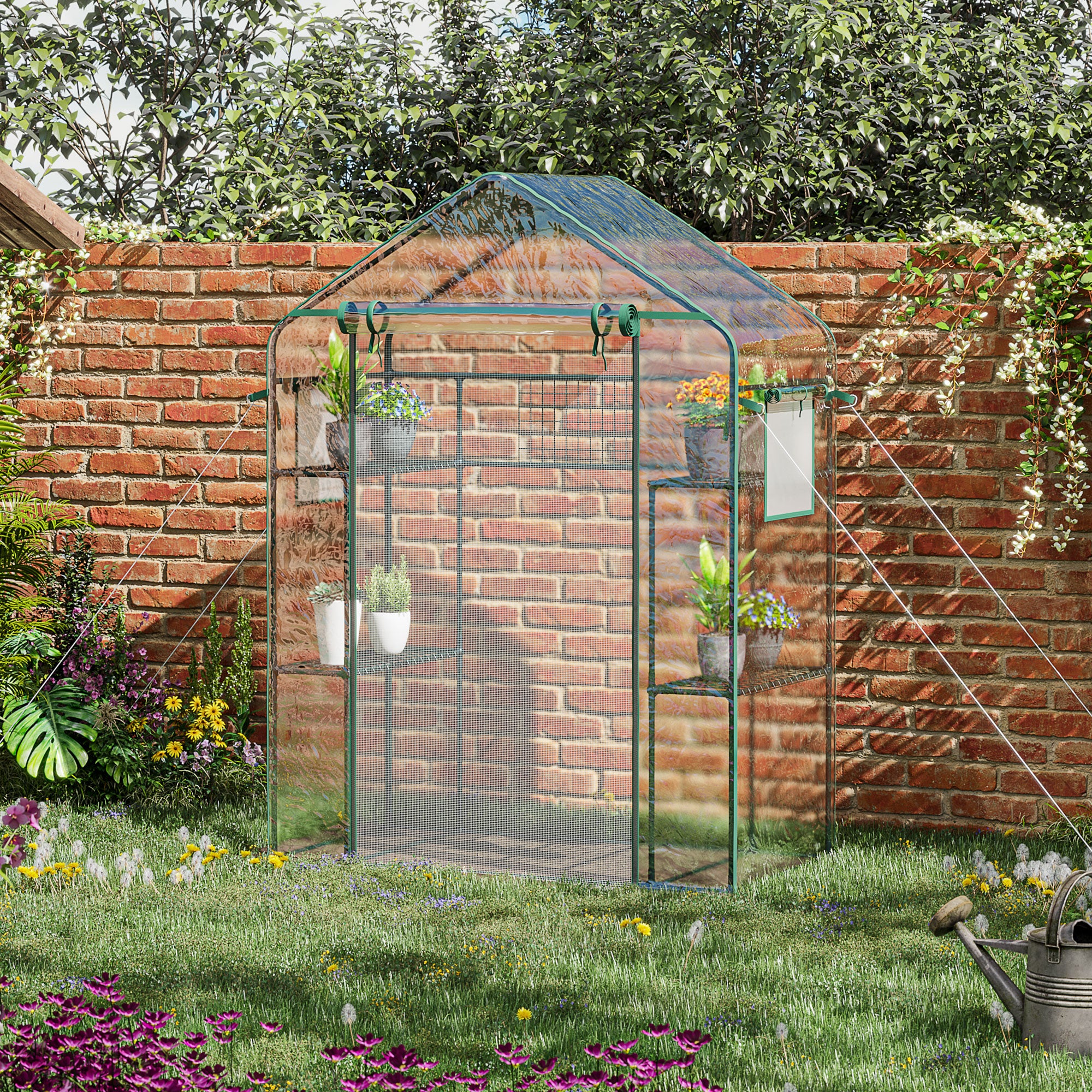 56" x 29" x 77" Walk-in Greenhouse with 4 Shelves & Roll-Up Door, Clear - Image 4